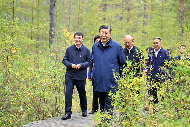 9月6日至8日，中共中央總書記、國家主席、中央軍委主席習近平在黑龍江考察。這是6日下午，習近平在大興安嶺地區(qū)漠河市漠河林場自然林區(qū)考察